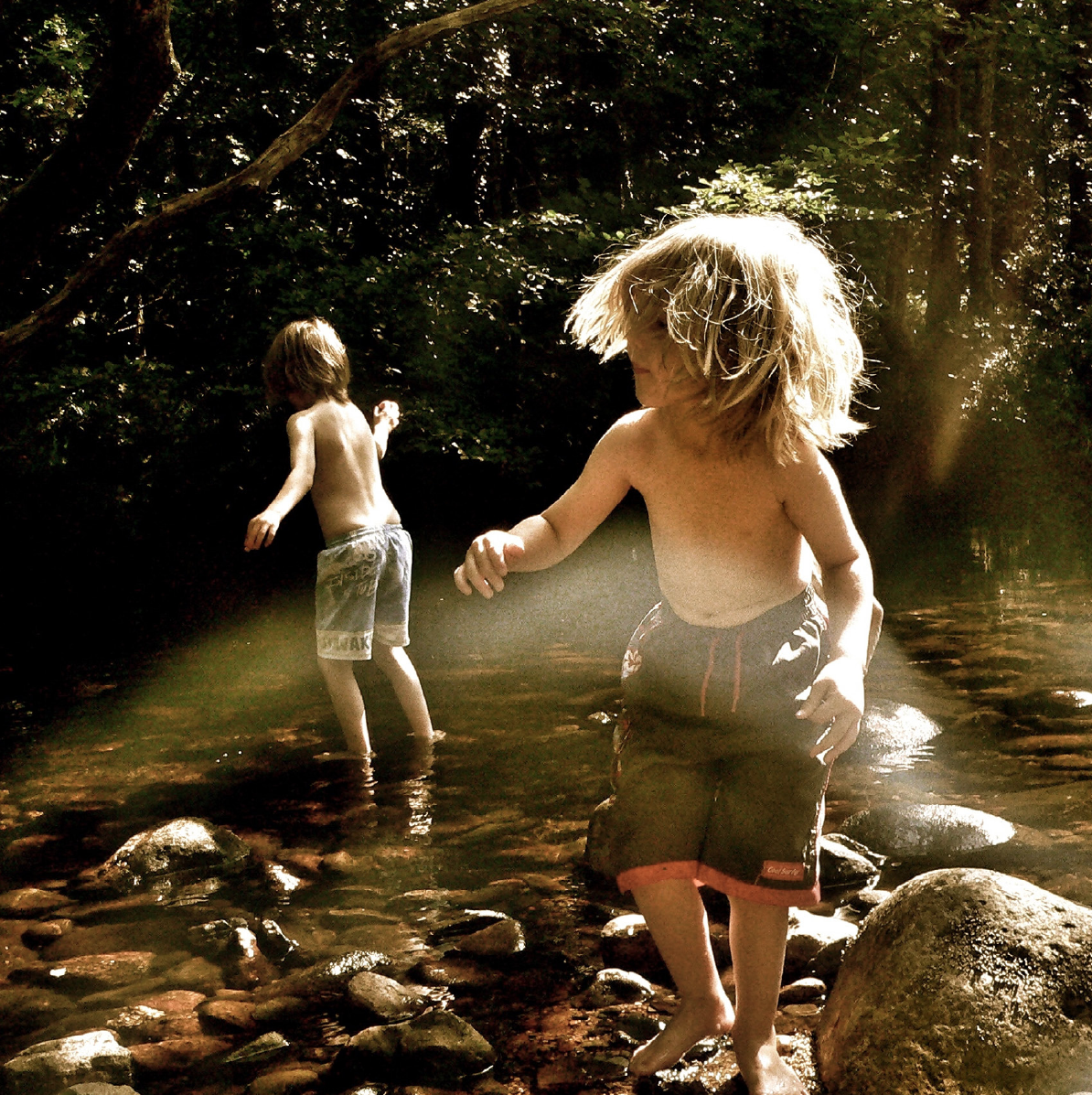 Spielen im Wald